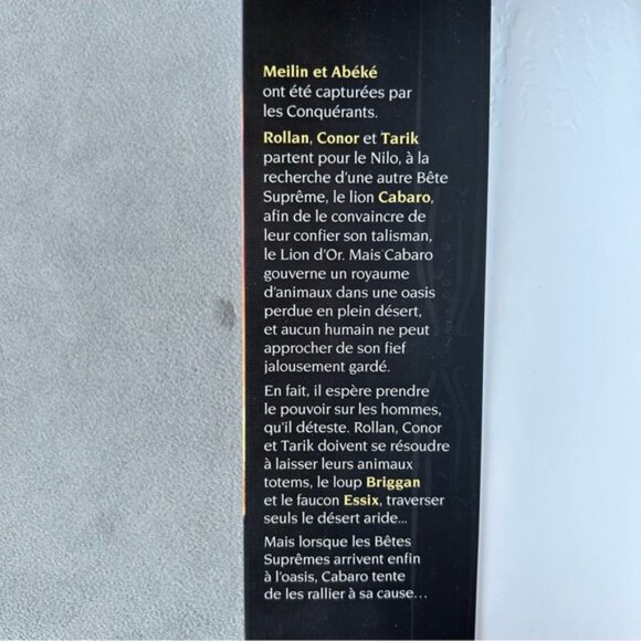 FRENCH ~ Animal Totem ~ 6 ~ La chute - Picture 5 of 6